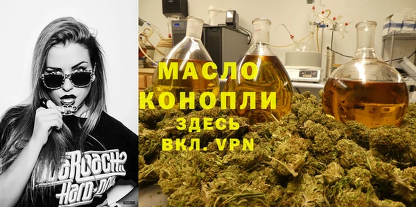 шишки Сатка