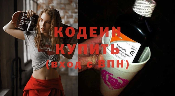 шишки Сатка