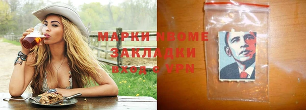 шишки Сатка