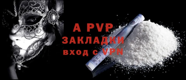 шишки Сатка