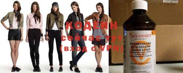 шишки Сатка