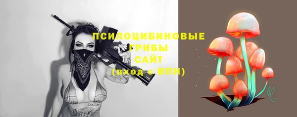прущая мука Саяногорск