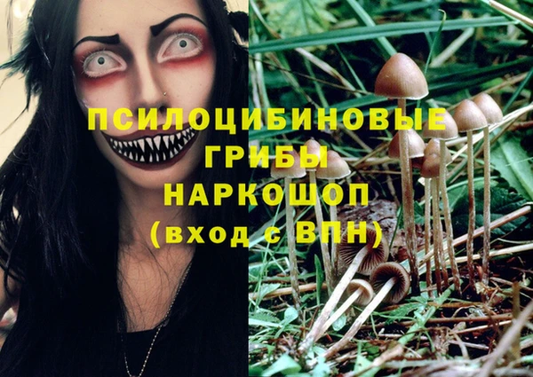 прущая мука Саяногорск