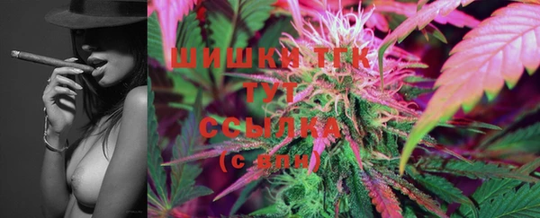 шишки Сатка
