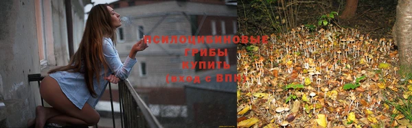 прущая мука Саяногорск