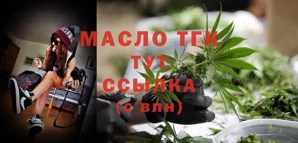 шишки Сатка