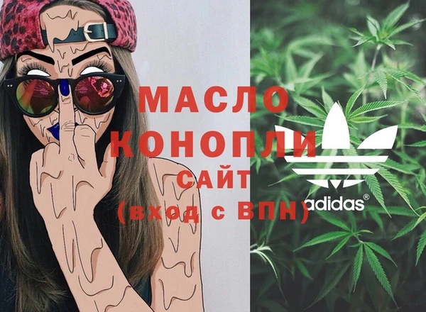 шишки Сатка