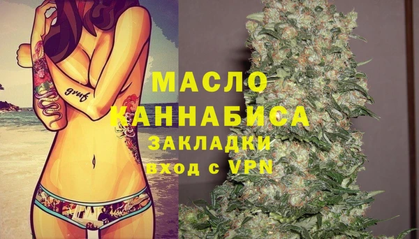 шишки Сатка