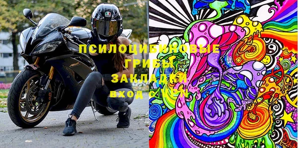 шишки Сатка