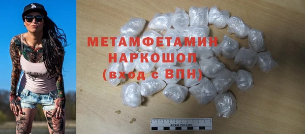 шишки Сатка