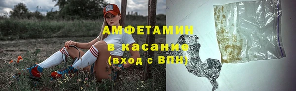 шишки Сатка