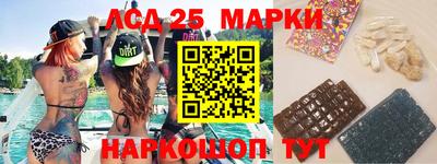 прущие крисы Гатчина