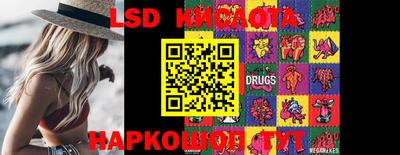 прущие крисы Гатчина