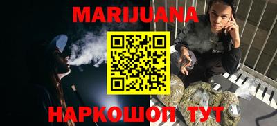 крисы Гай