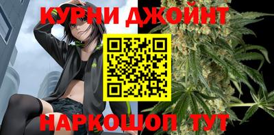 крисы Гай