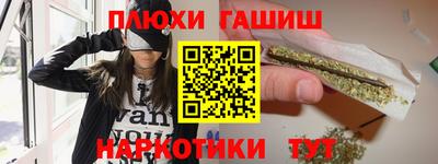 крисы Гай