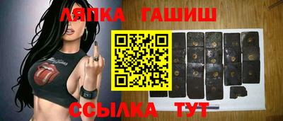 крисы Гай