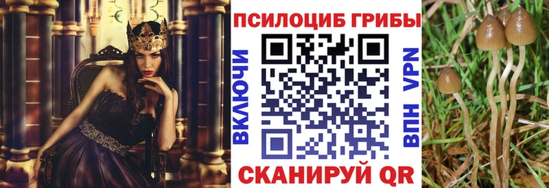 blacksprut ссылки Белореченск Галлюциногенные грибы Magic Shrooms