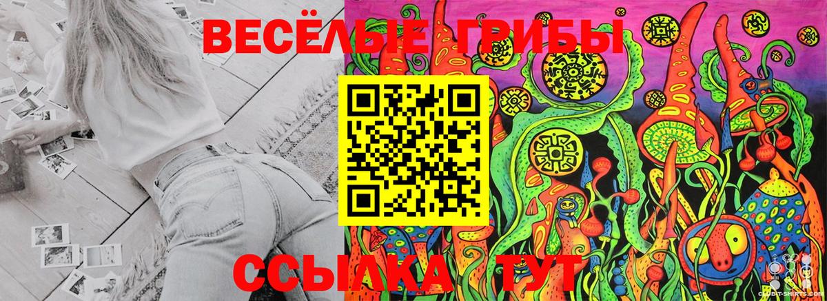 Галлюциногенные грибы прущие грибы  Псилоцибиновые грибы Cubensis  Белореченск 