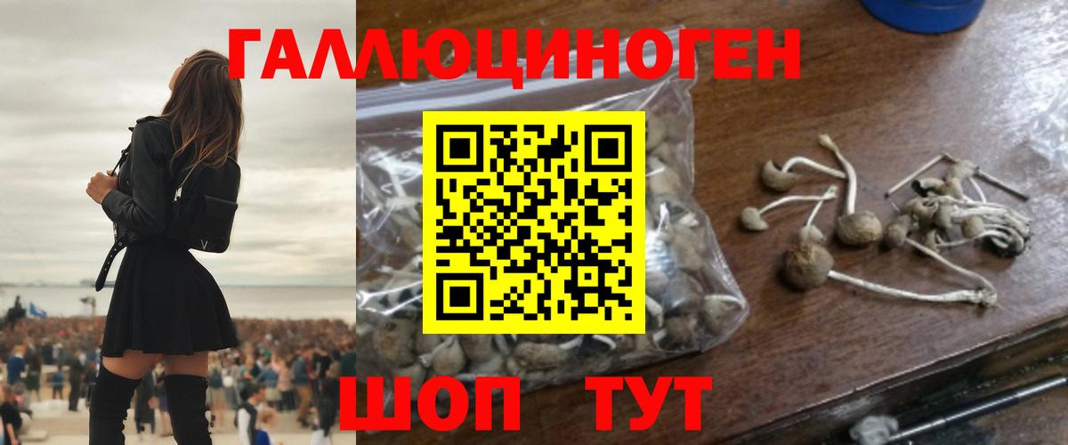 Белореченск  Галлюциногенные грибы Psilocybine cubensis  Вход с VPN 
