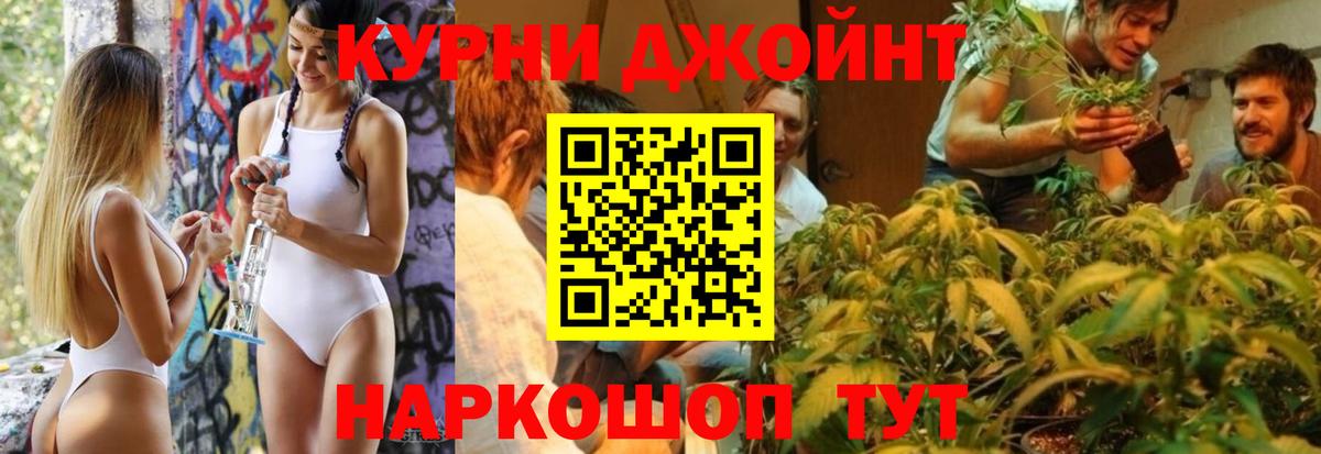 МАРИХУАНА Bruce Banner  Конопля планчик  Белореченск  МАРИХУАНА ГИДРОПОН 